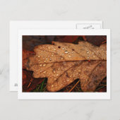 Herfst geel blad briefkaart (Voorkant / Achterkant)