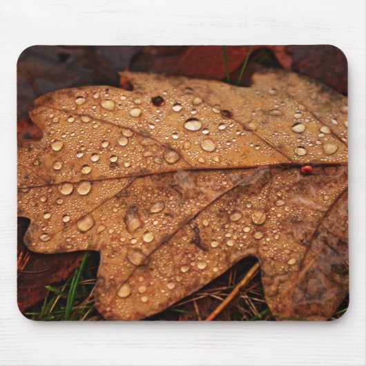 Herfst geel blad muismat (Voorkant)