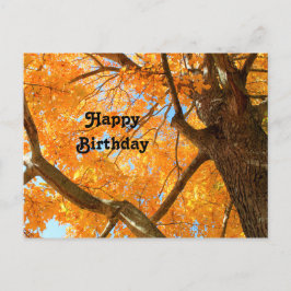 Herfst Geel Esdoorn Foto Verjaardag Briefkaart