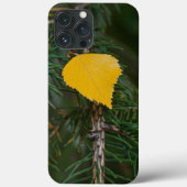 Herfst Geel Quaking Aspen Leaf Foto Case-Mate iPhone Case (Achterkant)