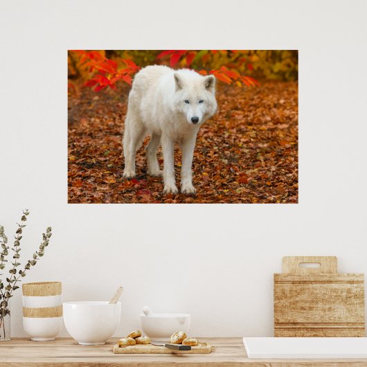 Herfst Geest Wolf Poster (Keuken)