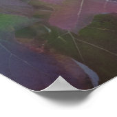 Herfst gekleurd eikleder Hydrangea Poster (Hoek)