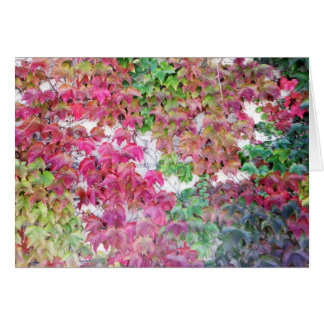 Herfst gekleurde bladeren