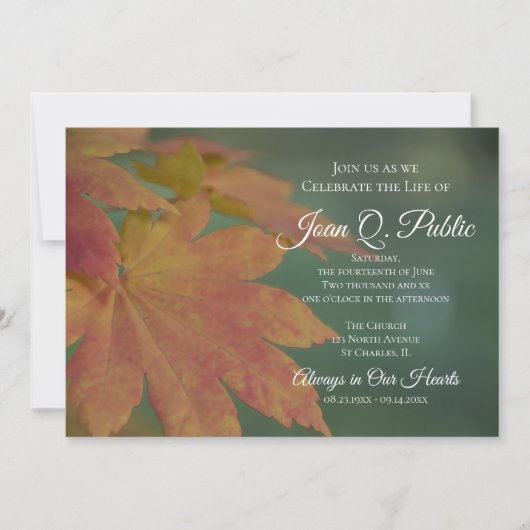 Herfst gekleurde bladeren Viering van het leven Me Kaart (Voorkant)