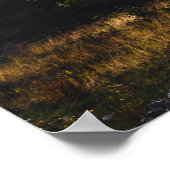 Herfst gekleurde boom poster (Hoek)