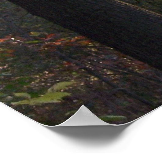 Herfst gekleurde linksafdruk poster (Hoek)