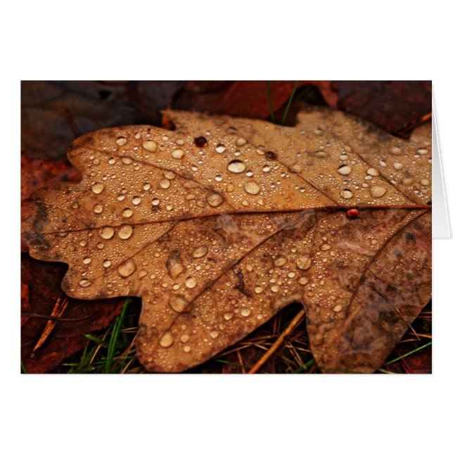 Herfst gele bladkaart (Voorkant Horizontaal)