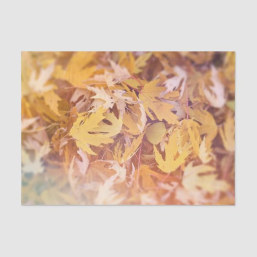 Herfst Gele Esdoornblad Tissuepapier (Voorkant)