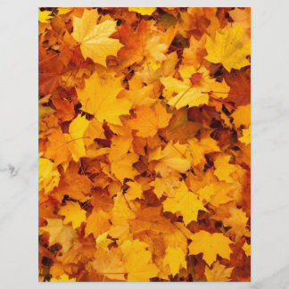 Herfst Gele Esdoornbladeren