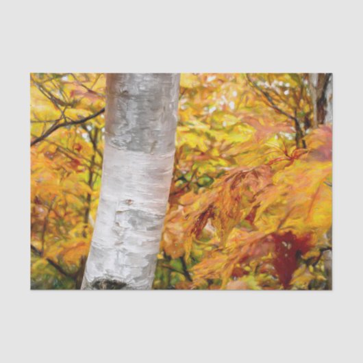 Herfst Gele Geschilderde Bosbladeren Berk Tissuepapier (Voorkant)