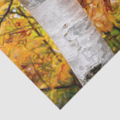 Herfst Gele Geschilderde Bosbladeren Berk Tissuepapier (Detail)