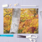 Herfst gele geverfde bosbladeren vogelboom tissuepapier (Craft)