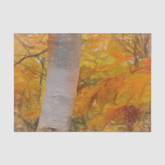 Herfst Gele Schets Kunst Bos Bladeren Berk Boom Tissuepapier (Voorkant)