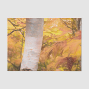 Herfst Gele Schets Kunst Bos Bladeren Berk Tissuepapier