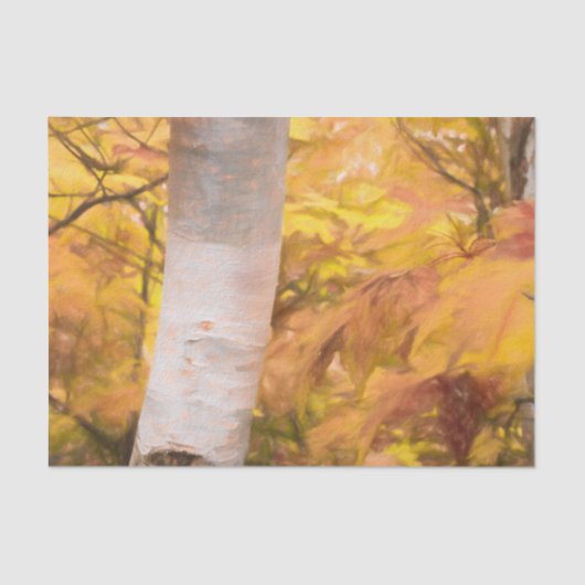 Herfst Gele Schets Kunst Bos Bladeren Berk Tissuepapier (Voorkant)