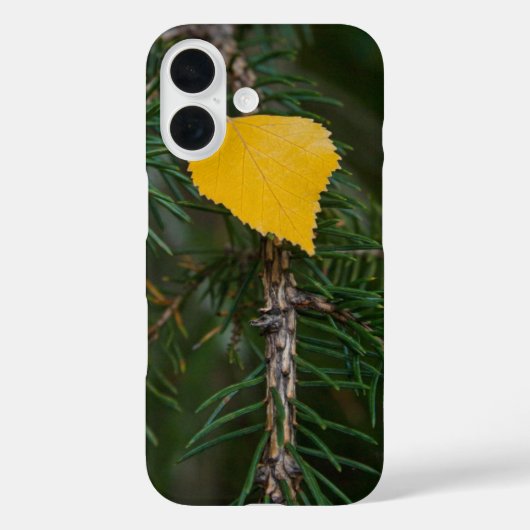 Herfst Gele Trillende Espenblad Fotografie Case-Mate iPhone Case (Achterkant)