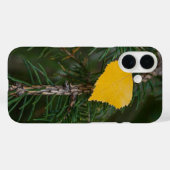 Herfst Gele Trillende Espenblad Fotografie Case-Mate iPhone Case (Achterkant (horizontaal))