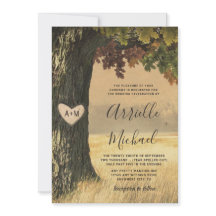 Herfst Gesneden Eiken Boomland Rustieke Bos Bruilo