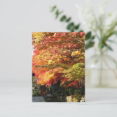 Herfst gevoerde straat, Nikko, Japan Briefkaart (Staand voorkant)