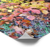 Herfst-gifivoren Poster (Hoek)