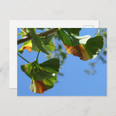 Herfst Ginkgo Biloba verlaat DIY Briefkaart (Voorkant / Achterkant)