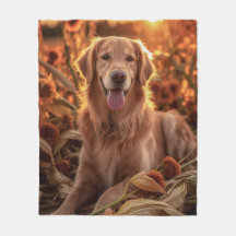Herfst Golden Retriever