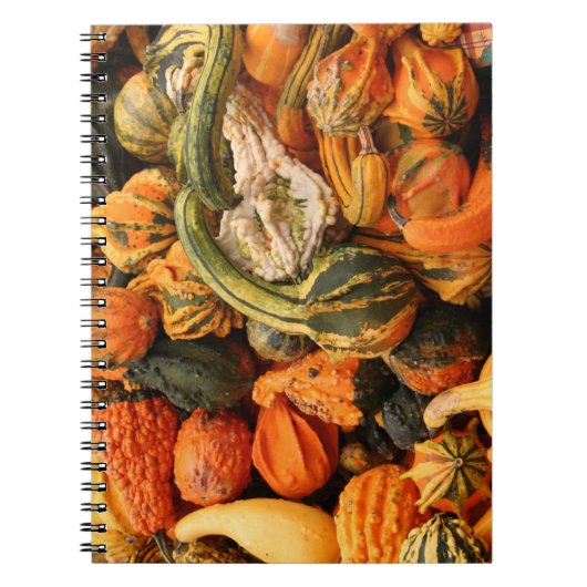 Herfst Gourd Achtergrond Notitieboek (Voorkant)