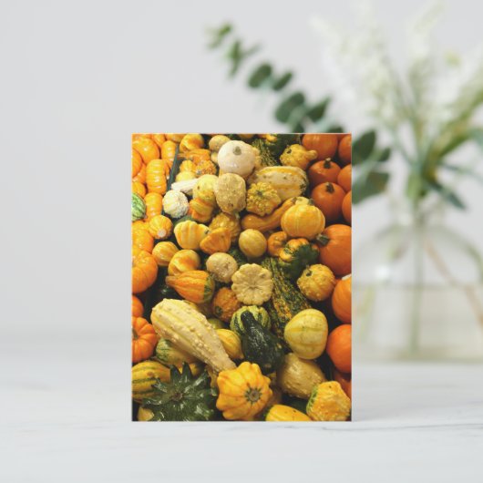 Herfst Gourds Briefkaart (Staand voorkant)