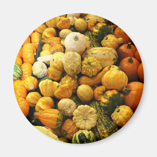 Herfst Gourds Magneet (Voorkant)