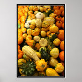 Herfst Gourds Poster (Voorkant)