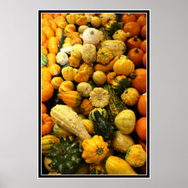 Herfst Gourds Poster