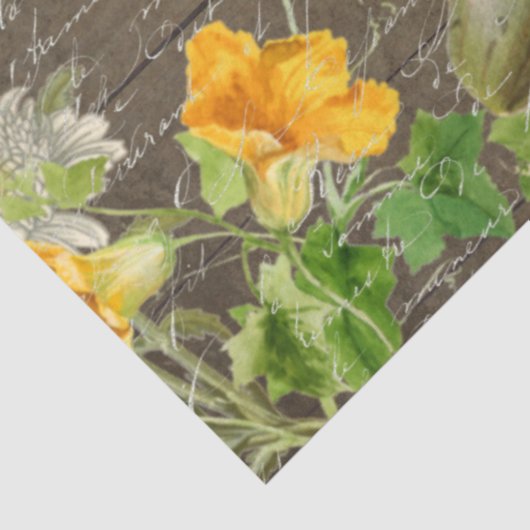 Herfst Gourds Pumpkin Rustic Dark Wood Tissuepapier (Detail)