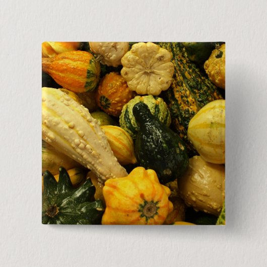 Herfst Gourds Vierkante Button 5,1 Cm (Voorkant)