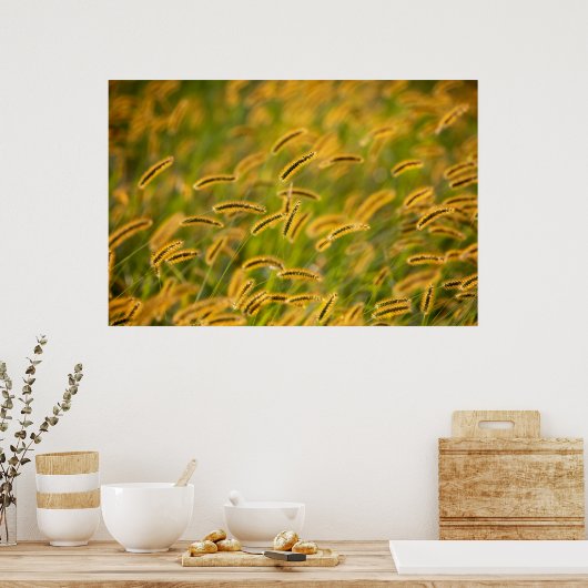 Herfst Grass Poster (Keuken)