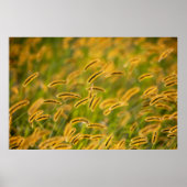 Herfst Grass Poster (Voorkant)
