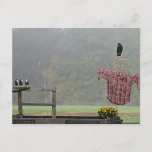 Herfst Groeten! Van de vogelverschrikker! Briefkaart