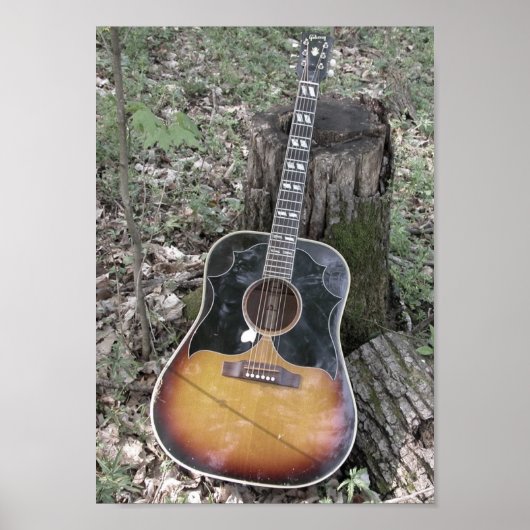 Herfst Guitar Poster (Voorkant)