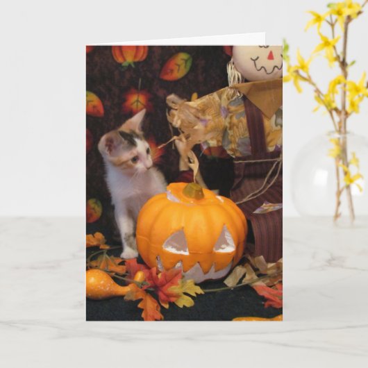 herfst Halloween - Cat / Kitten Halloween Kaart (Gele Bloem)
