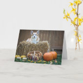 Herfst/Halloween Corgi lege kaart (Gele Bloem)