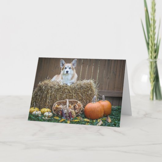 Herfst/Halloween Corgi lege kaart (Voorkant)