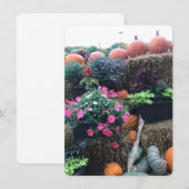 Herfst Halloween pompoenen Bedankkaart (Voorkant / Achterkant)