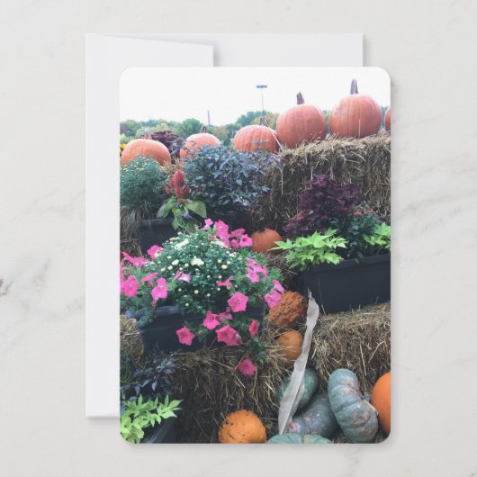 Herfst Halloween pompoenen Bedankkaart (Voorkant)