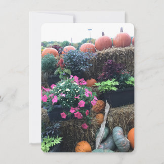 Herfst Halloween pompoenen Bedankkaart