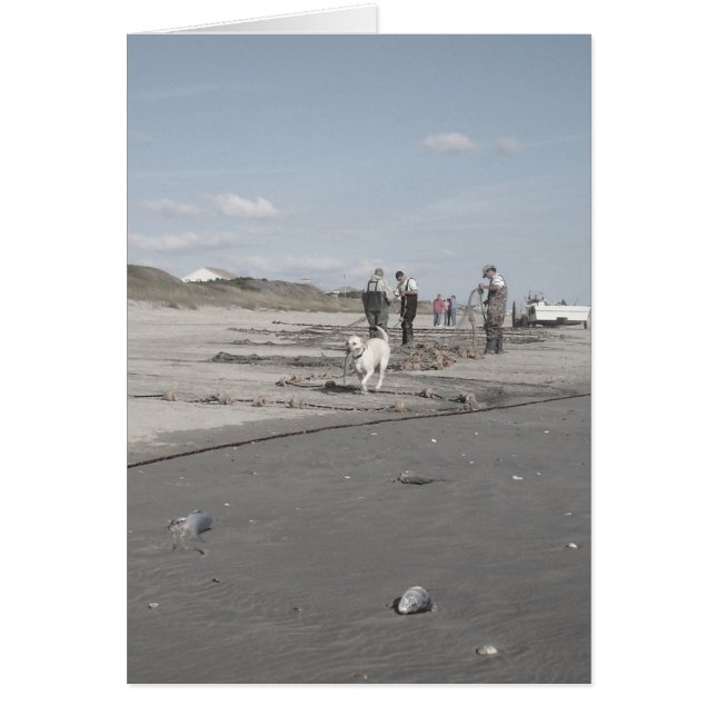 Herfst Harvest (Voorkant)