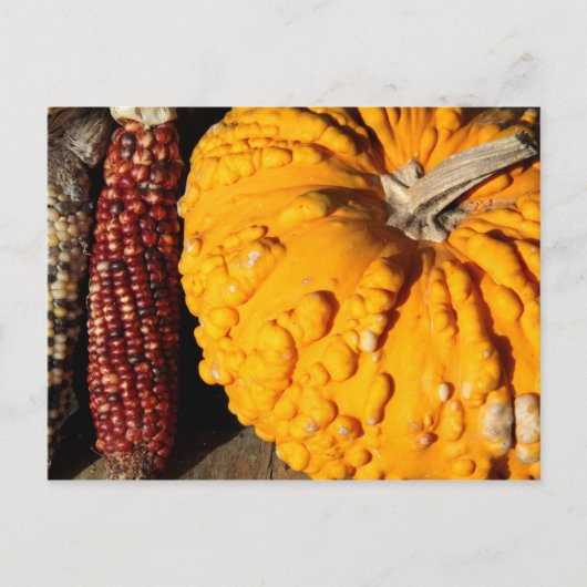 Herfst Harvest Briefkaart (Voorkant)