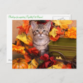 Herfst Harvest Briefkaart (Voorkant / Achterkant)