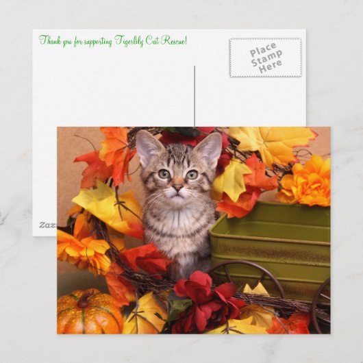 Herfst Harvest Briefkaart (Voorkant / Achterkant)