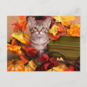 Herfst Harvest Briefkaart (Voorkant)