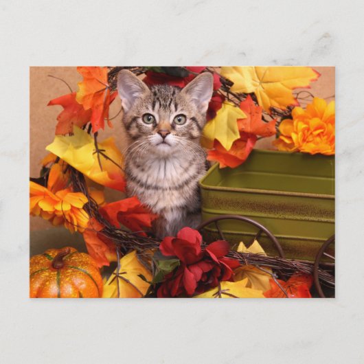 Herfst Harvest Briefkaart (Voorkant)