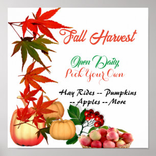 Herfst Harvest Pick Your Own Pumpkin Patch Farmhou Poster